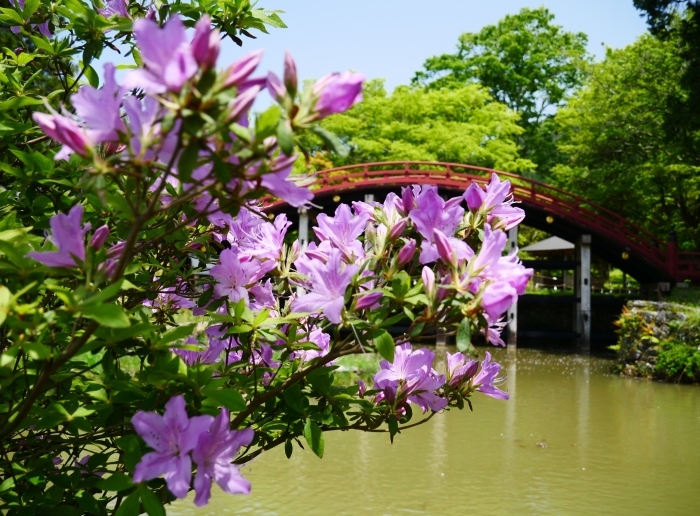 　　丹生都比売神社（にうつひめじんじゃ）　　２０２１-０５-１３　００：００_b0093754_22535962.jpg