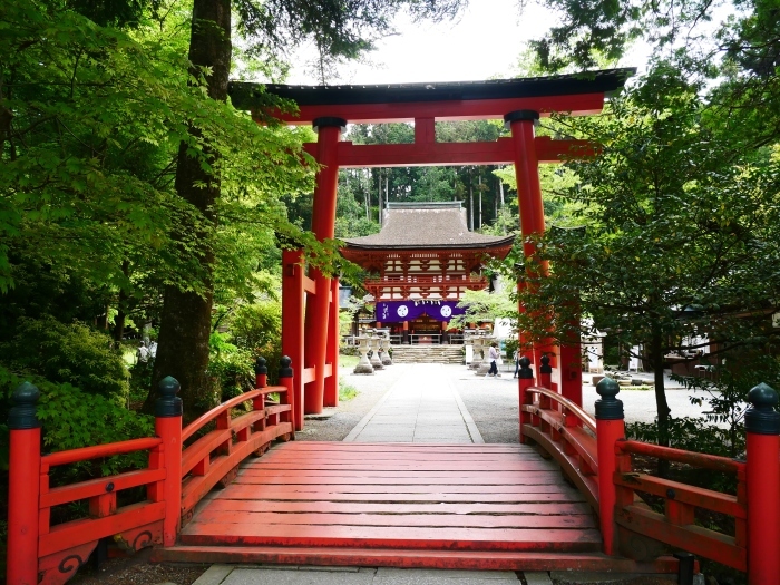 　　丹生都比売神社（にうつひめじんじゃ）　　２０２１-０５-１３　００：００_b0093754_22544748.jpg