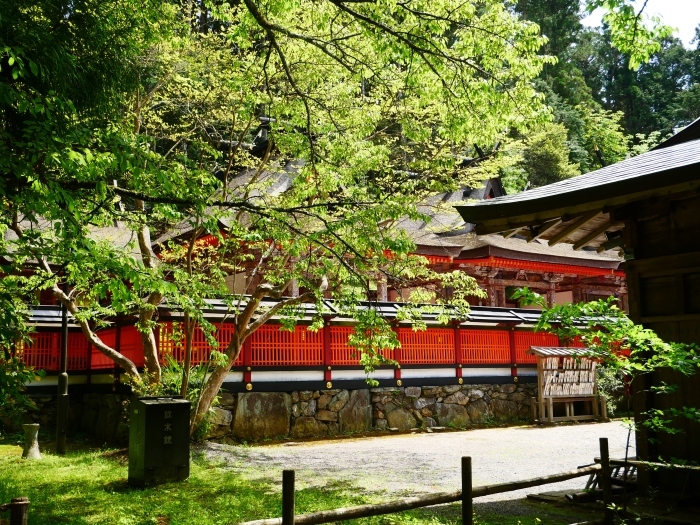 　　丹生都比売神社（にうつひめじんじゃ）　　２０２１-０５-１３　００：００_b0093754_22552172.jpg