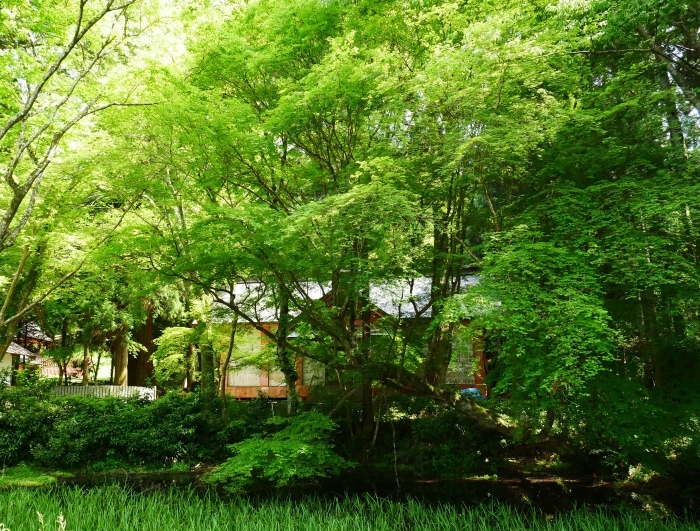 　　丹生都比売神社（にうつひめじんじゃ）　　２０２１-０５-１３　００：００_b0093754_22572702.jpg