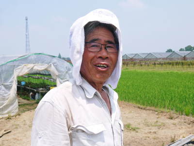 熊本県産 きくち水田ごぼう 2kg箱: きくちのまんまJAタウン