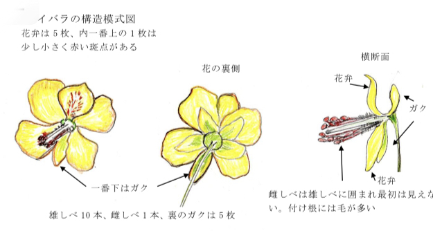 Google Map の背景に悪質犯罪の臭いがする 平ちゃんのブログ旅日記