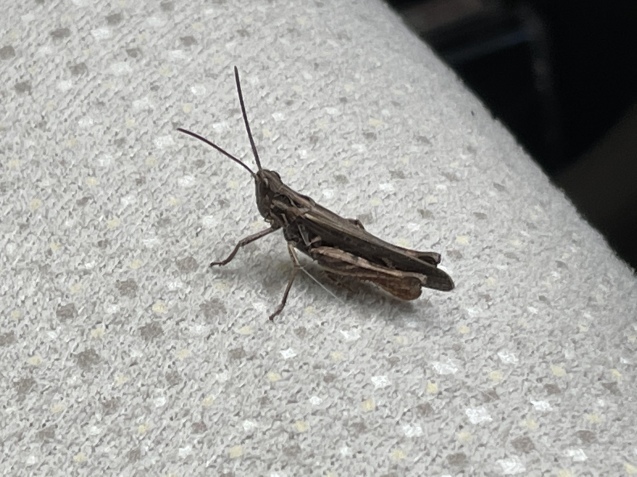 共に生きる時間。_a0394574_22491911.jpeg
