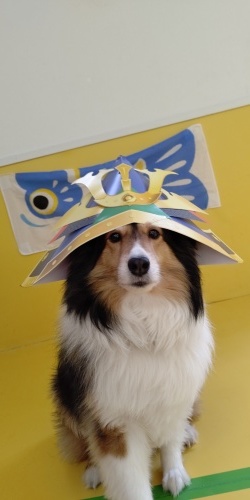 5月といえば_f0357682_00020987.jpg