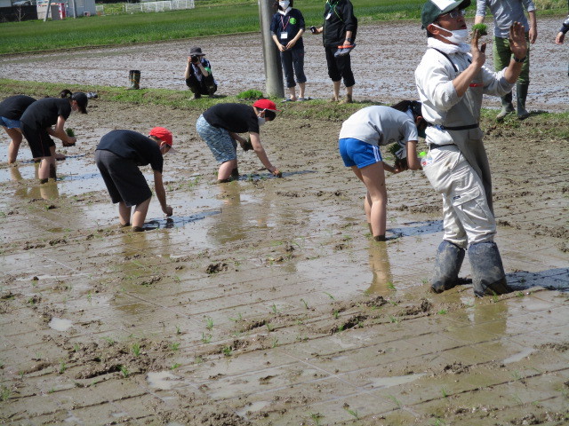 田植えについて（枝野小学校）_d0247484_14075497.jpg