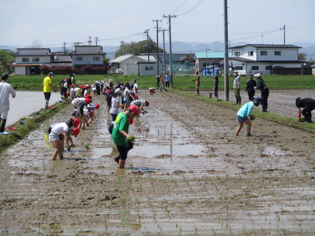 田植えについて（枝野小学校）_d0247484_14075816.jpg