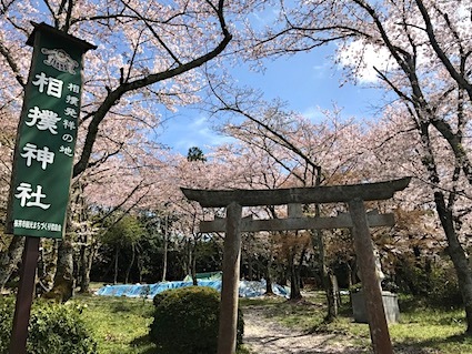 天孫氏は火の一族〈84〉敗者は「葛城」_a0300530_14322409.jpg