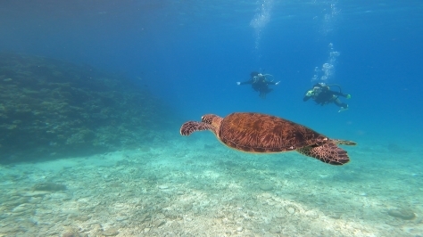 5月11日水納島VS講習_c0070933_10094402.jpg