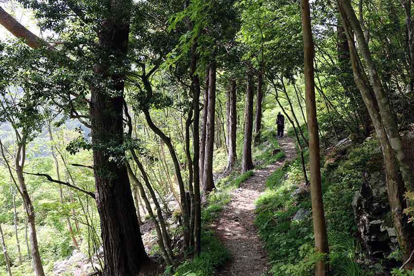 21年 四国山岳植物園 岳人の森 03 すえドンのフォト日記 21年 四国山岳植物園 岳人の森 03 すえドンのフォト日記