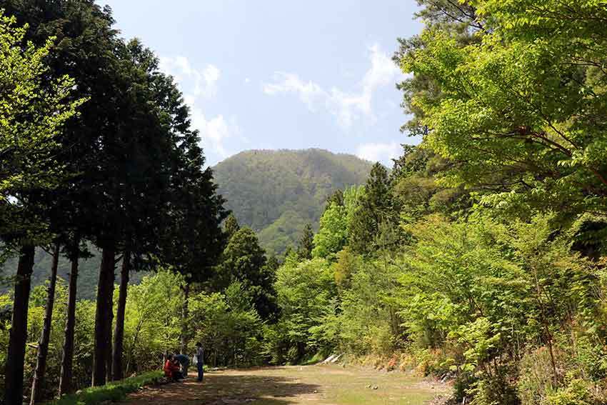 21年 四国山岳植物園 岳人の森 03 すえドンのフォト日記 21年 四国山岳植物園 岳人の森 03 すえドンのフォト日記