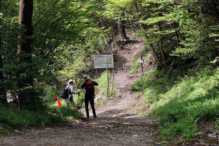 21年 四国山岳植物園 岳人の森 03 すえドンのフォト日記 21年 四国山岳植物園 岳人の森 03 すえドンのフォト日記
