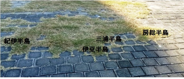 日本恋しや はないちもんめ あけっぴろげてあらいざらいのあるがまま