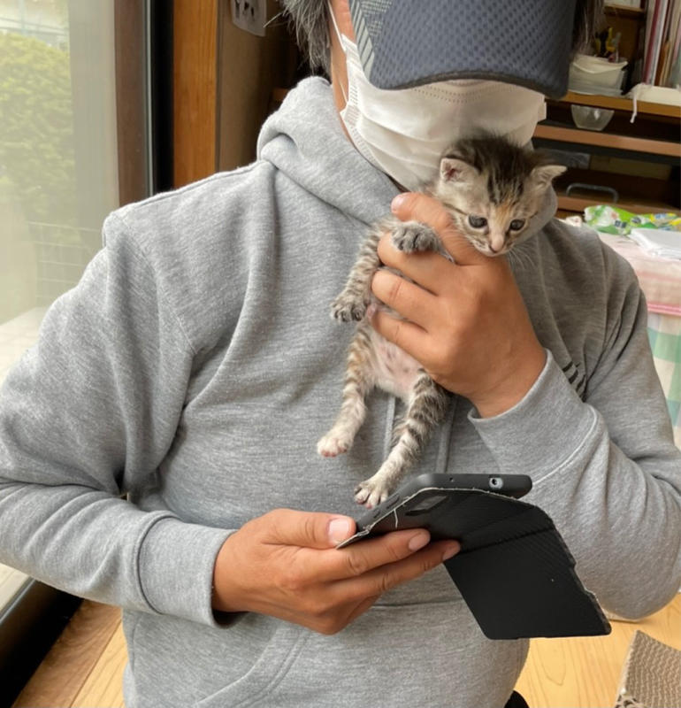 脱走猫も無事に確保し 捕獲も一旦区切りがつきました Npo法人 府中猫の会