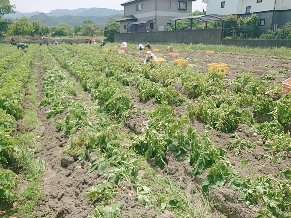 土から元気をもらう_b0334704_22532935.jpg