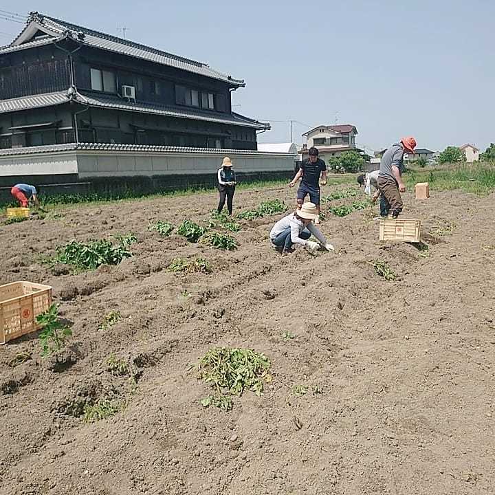 土から元気をもらう_b0334704_22533050.jpg