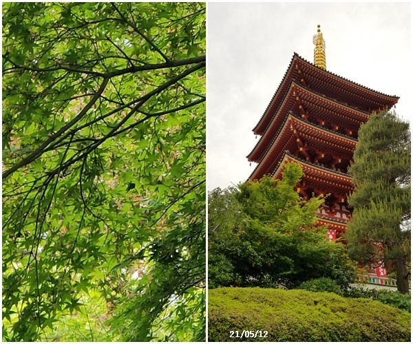 畑へ、 高幡不動散策、 叔母お別れ会、八王子へ_c0051105_00195611.jpg