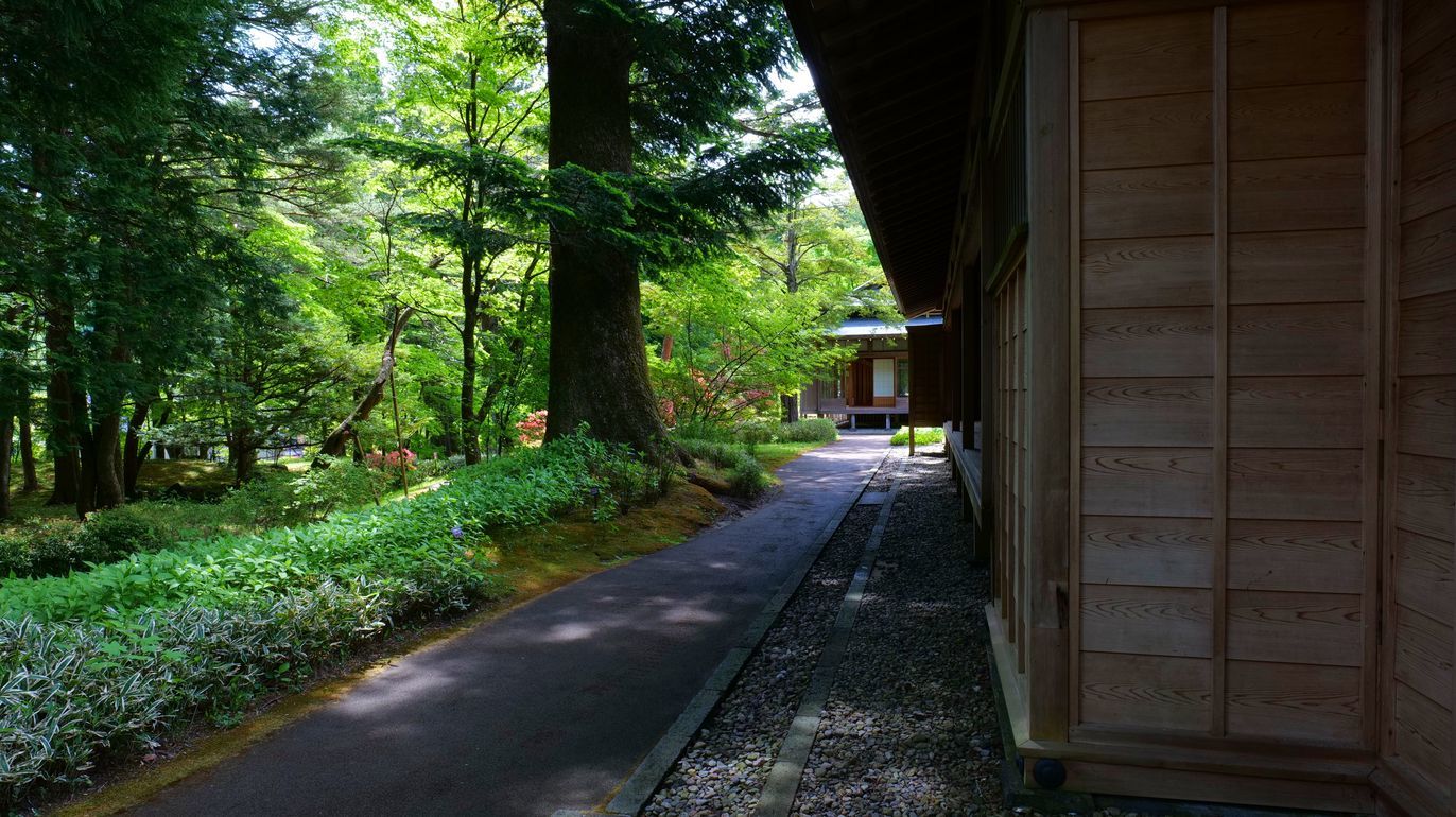 日光・田母沢御用邸の庭園が緑煌めくいい季節に♪・・・5月12日_a0031821_20294901.jpg