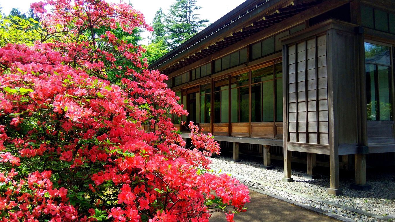 日光・田母沢御用邸の庭園が緑煌めくいい季節に♪・・・５月１２日_a0031821_20331382.jpg