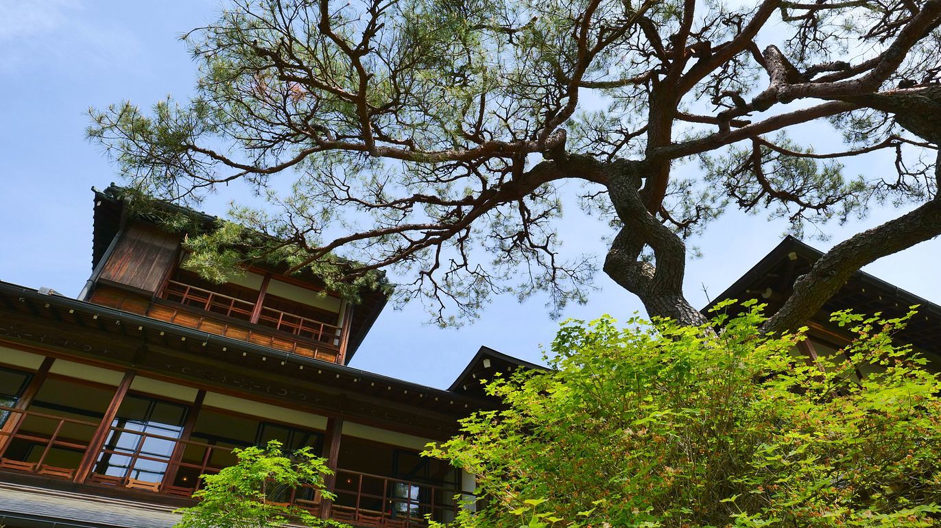 日光・田母沢御用邸の庭園が緑煌めくいい季節に♪・・・５月１２日_a0031821_20345921.jpg