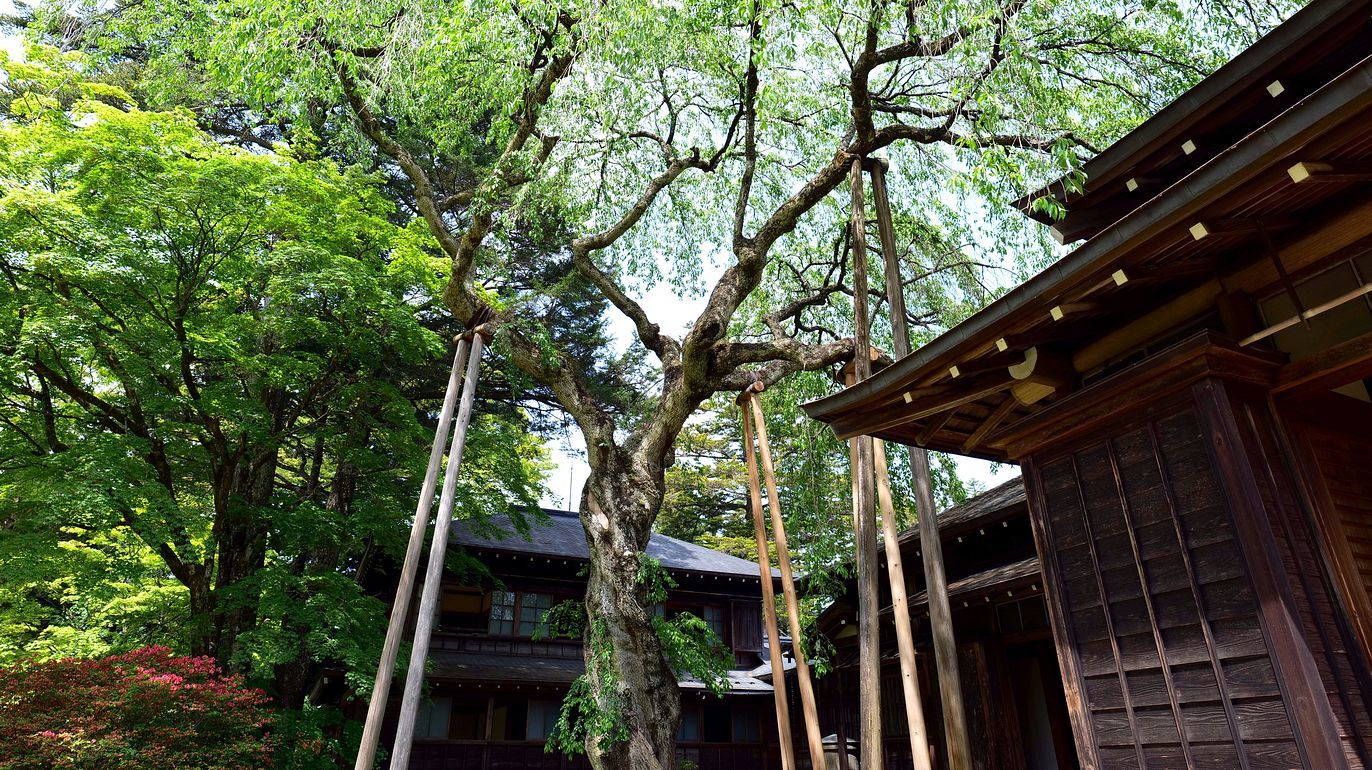 日光・田母沢御用邸の庭園が緑煌めくいい季節に♪・・・５月１２日_a0031821_20351643.jpg