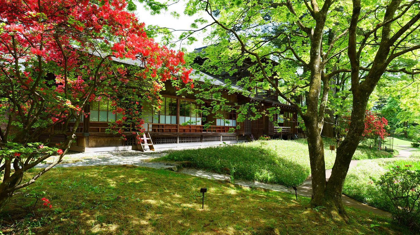 日光・田母沢御用邸の庭園が緑煌めくいい季節に♪・・・５月１２日_a0031821_20353442.jpg