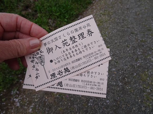 京都の春21 4 ー京都観光編 原谷苑 三千院 など Pockieのホテル宿フェチお気楽日記iii