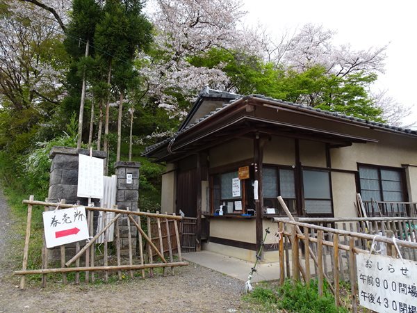 京都の春21 4 ー京都観光編 原谷苑 三千院 など Pockieのホテル宿フェチお気楽日記iii