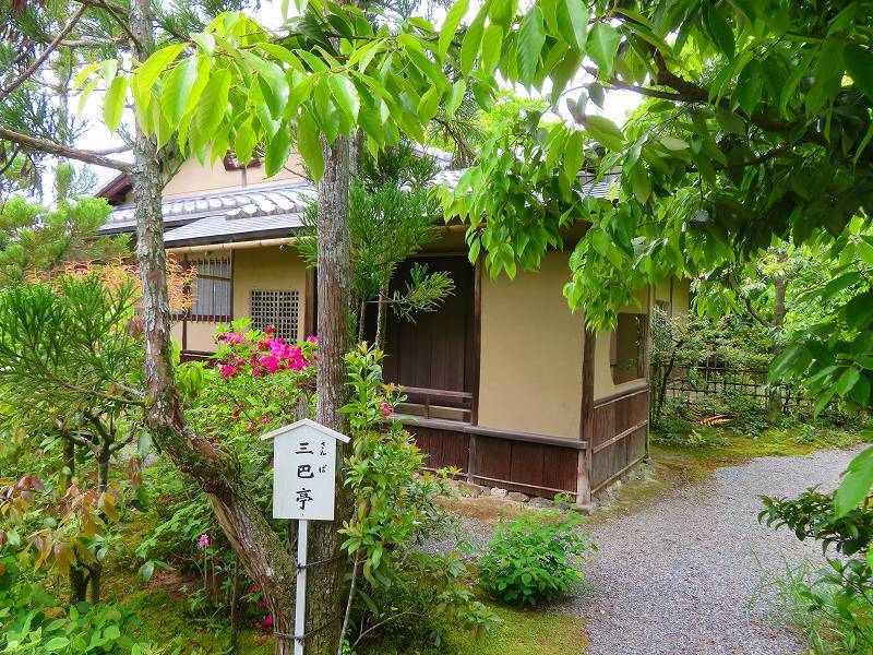 早いに越したことはない 永久会員だから 光悦会の会員になれまし