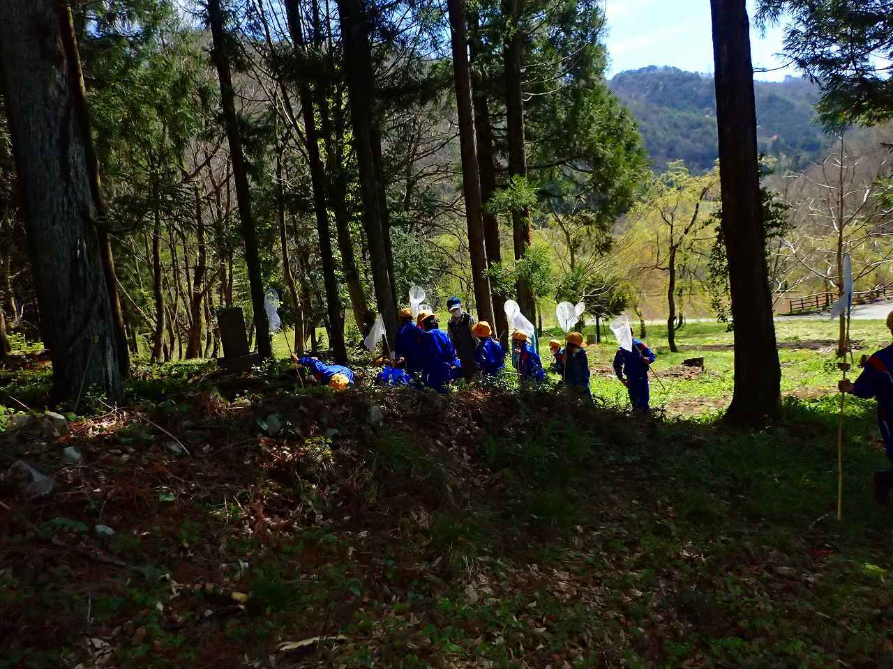 ギフチョウ採集会_e0367158_22153660.jpg