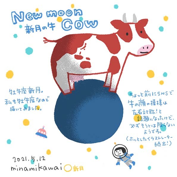 新月と牛の顔の模様 波間日記