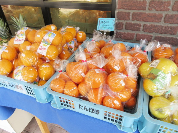【恵那市情報】スペイン式 石窯パン工房 恵那峡_c0152767_09432267.jpg