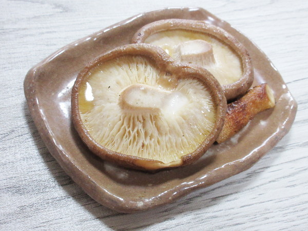 岐阜県産 生椎茸_c0152767_19541072.jpg