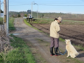 犬の散歩中はなかなか写真が撮れないので、今のうちに_b0405523_11330447.jpg