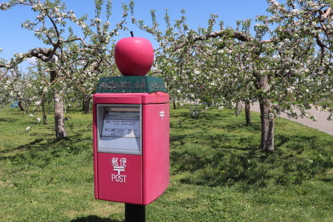 りんごの花：弘前市りんご公園（弘前市）*2021.05.12_b0147224_00130475.jpg