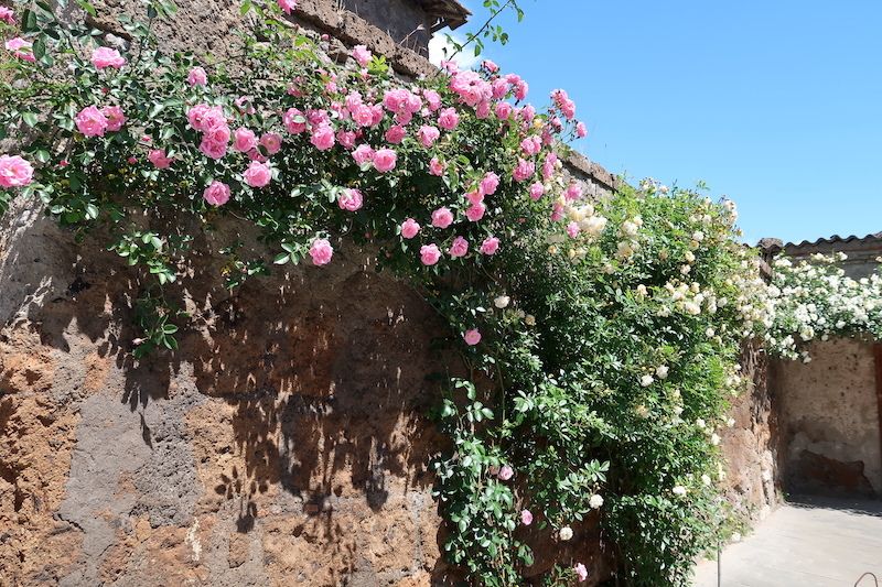 ルクレツィア・ボルジアゆかりの城荒れて花・緑彩るネーピの町_f0234936_06370568.jpg