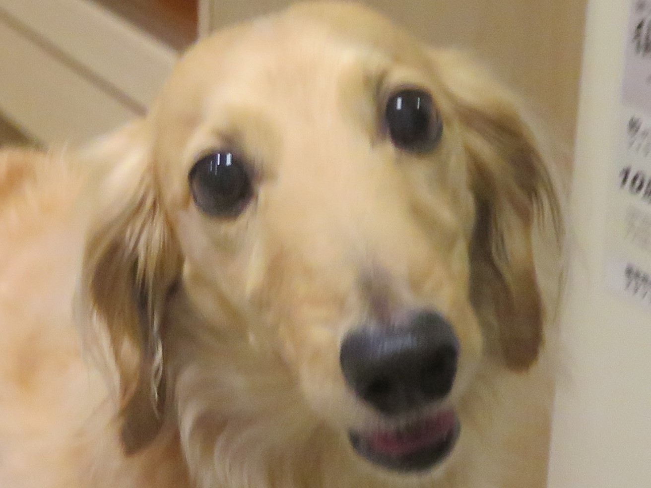 5 月14 日の写真_c0174644_10362252.jpg