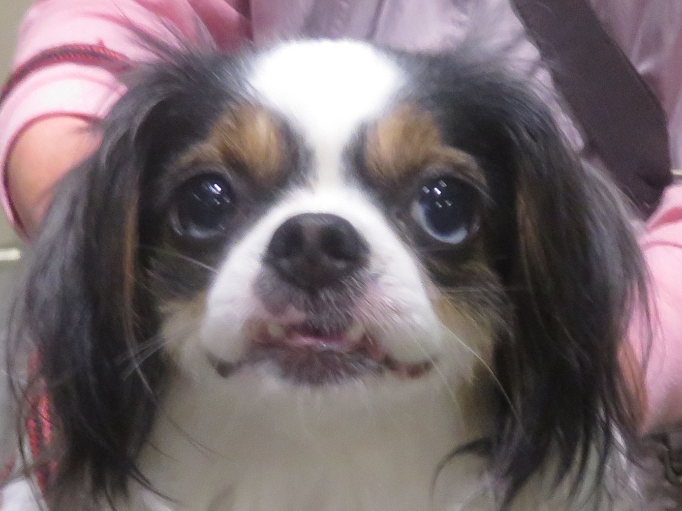 5 月14 日の写真_c0174644_12425015.jpg
