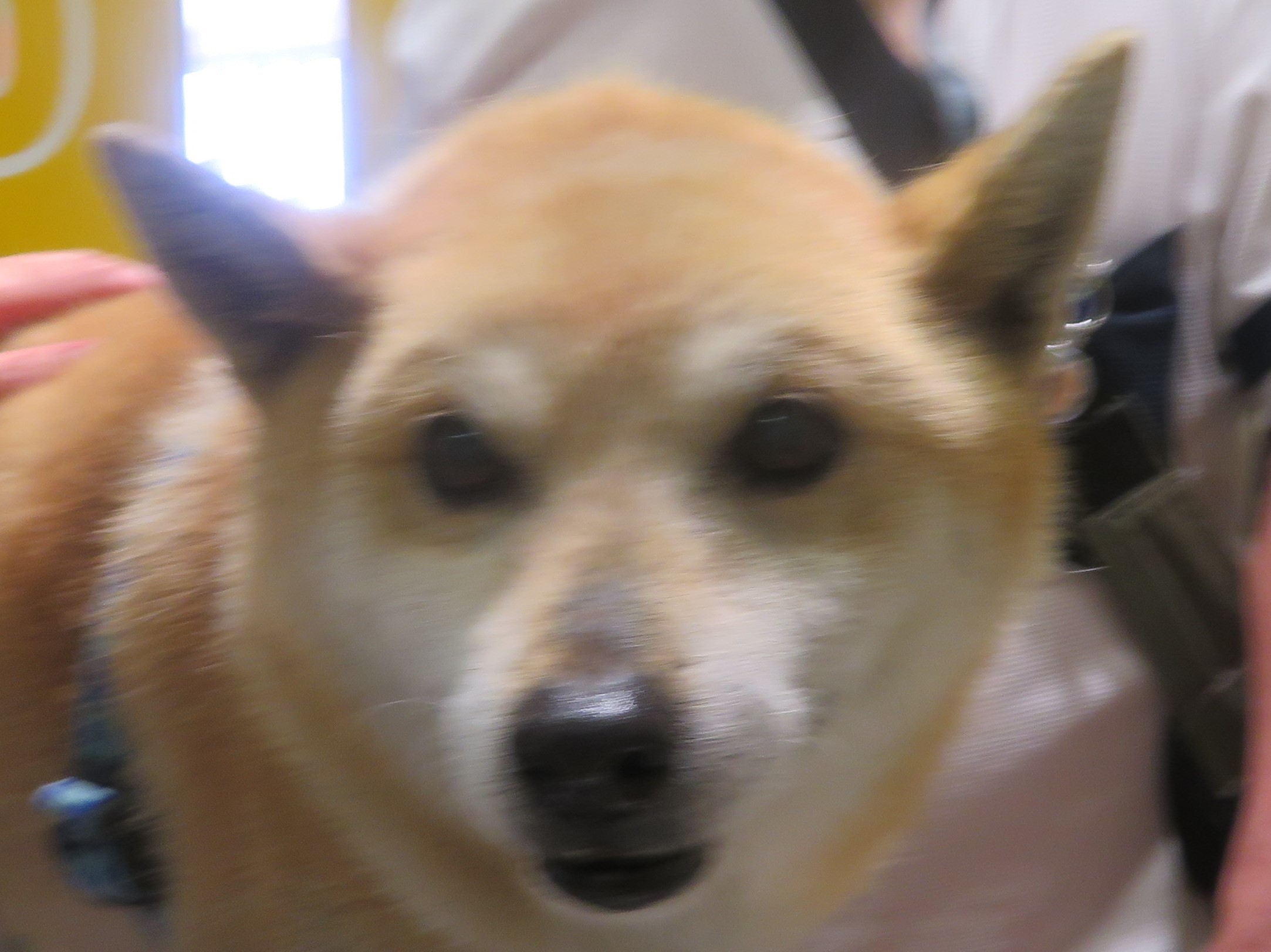 5 月14 日の写真_c0174644_12425140.jpg
