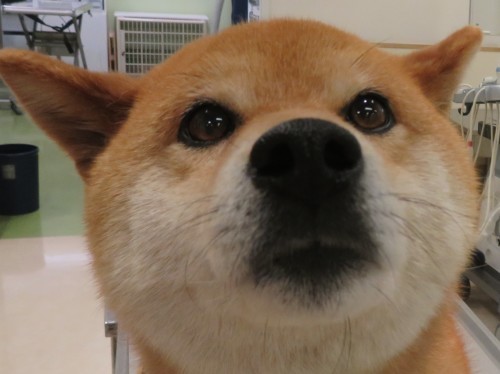 5 月14 日の写真_c0174644_12425161.jpg