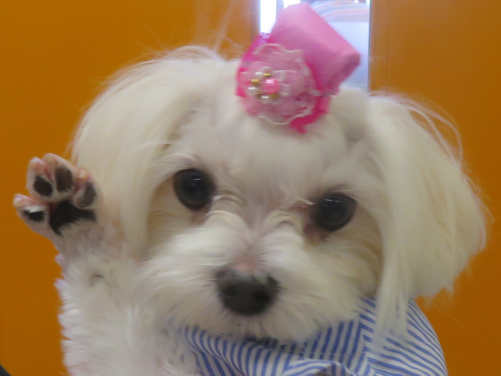 5 月14 日の写真_c0174644_12582798.jpg