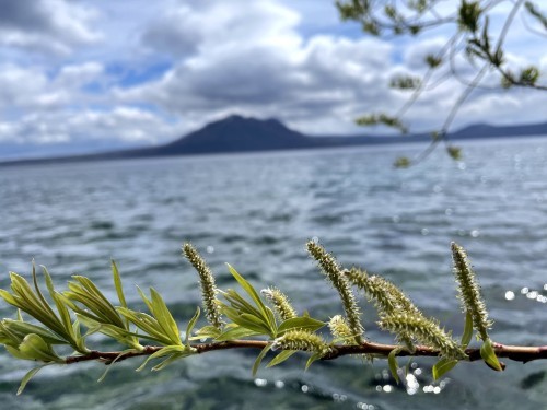 春SUP Vol,２ 支笏湖_d0198793_23465397.jpg