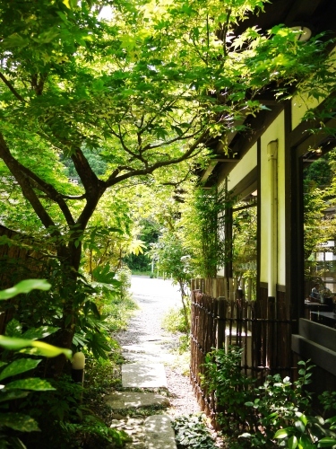 癒しのスポット ニャンコはオネンネ三昧 くらしのギャラリーちぐさ