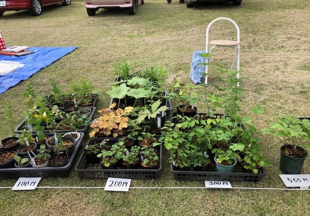 フリーマーケットに参加しました 雑草苑だより