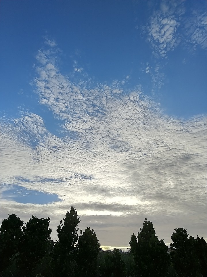 夕方6時すぎの空。_e0251855_19560336.jpg