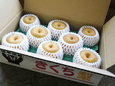 熊本梨 本藤果樹園 摘果作業の様子(2021) 今年は花の開花も早かったので摘果作業も急ピッチです(前編)_a0254656_17145337.jpg