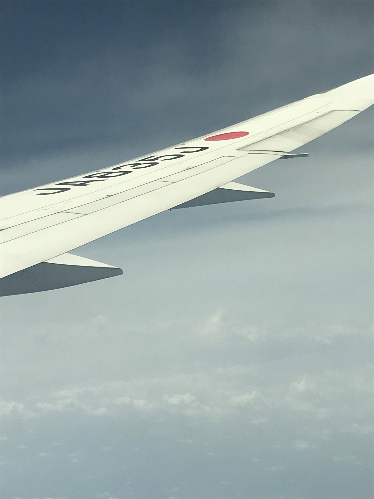 COVID-19陰性が証明されて、入国が許されました_b0100062_08124093.jpeg