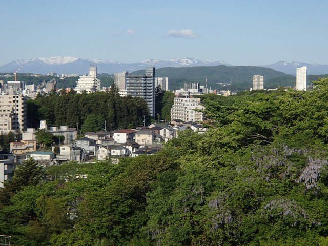 ヤマボウシの花_a0344771_20351356.jpg