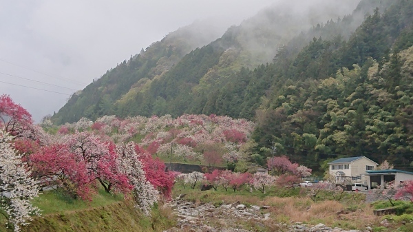 久しぶりの旅行_f0110488_14084203.jpg