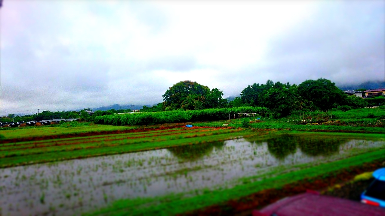 梅雨入り２０２１_d0132289_15511452.jpg
