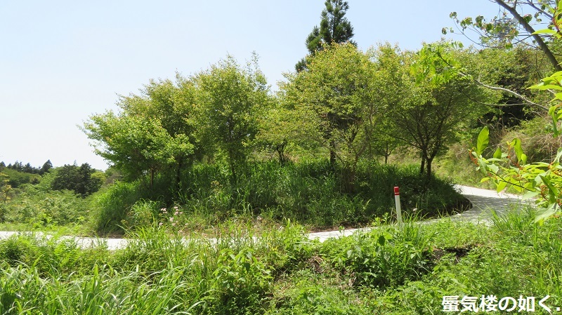 「ゆるキャン△S2」舞台探訪16 一人のキャンプ その3/3 なでしこ野田健康緑地公園キャンプ場(第8話)_e0304702_16594153.jpg
